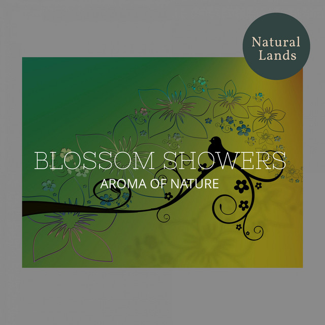 Passionate Late Morning Breeze cover art
