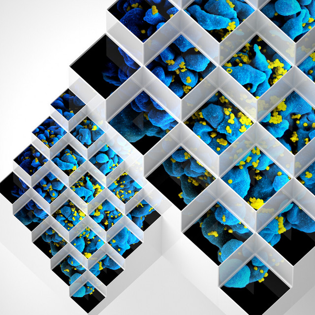 Liquid Geometries in Dub cover art