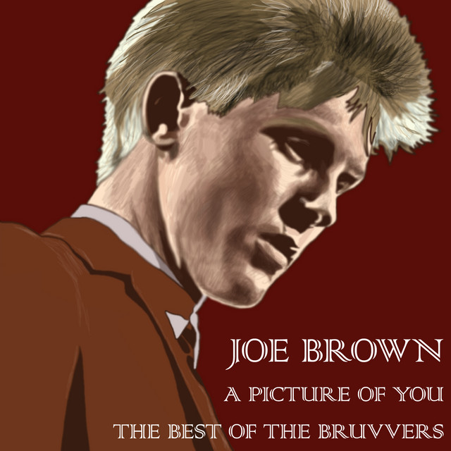 Joe Brown A Picture Of You - The Best Of The Bruvvers