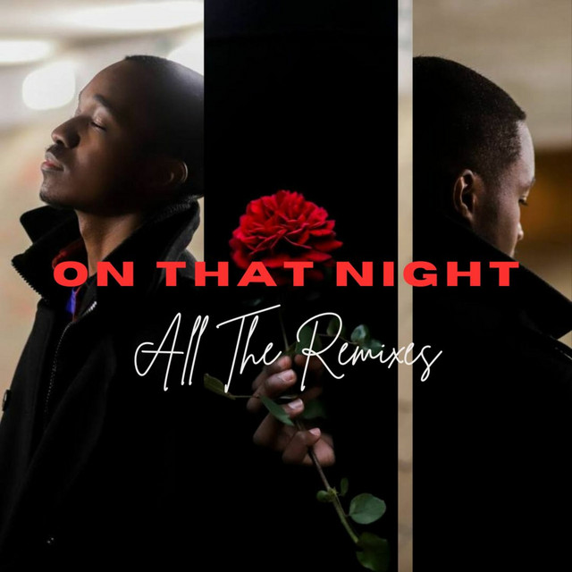 On That Night (All The Remixes)