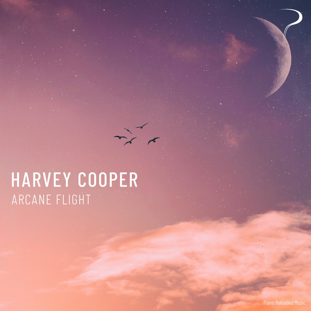Arcane Flight cover art