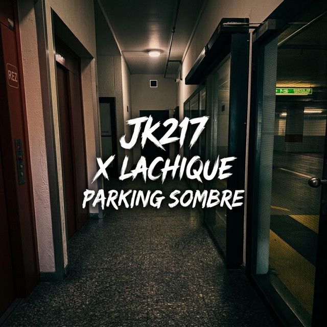PARKING SOMBRE cover