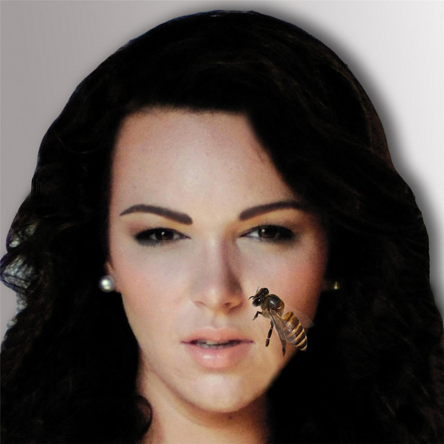 Slow Down cover
