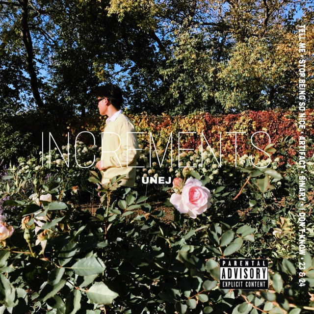 INCREMENTS cover art