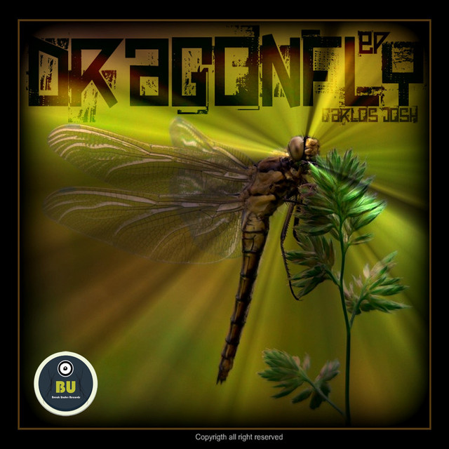 DragonFly cover art