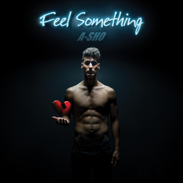 Feel Something cover