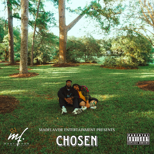 Chosen cover