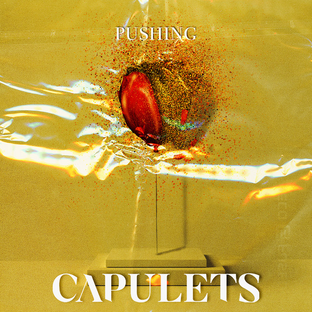 Pushing cover art