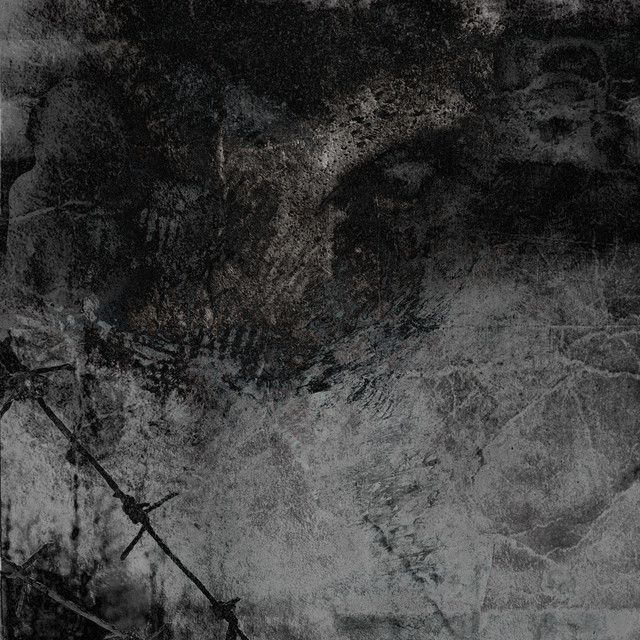 Перед операцией им удаляют голосовые связки cover art