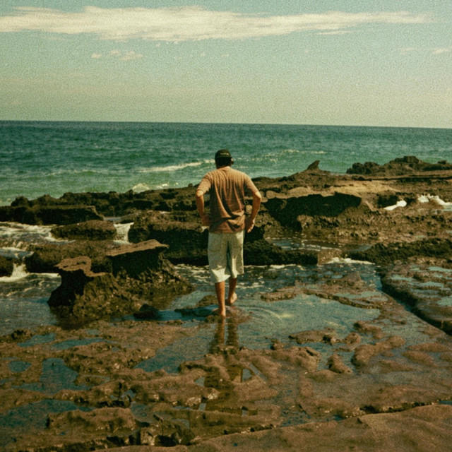 LANDED. album image