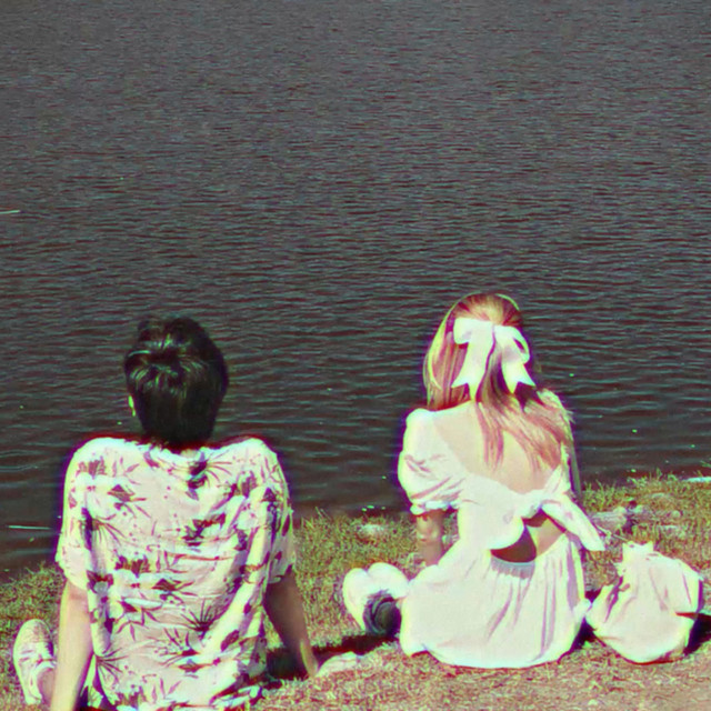 Seagull cover art