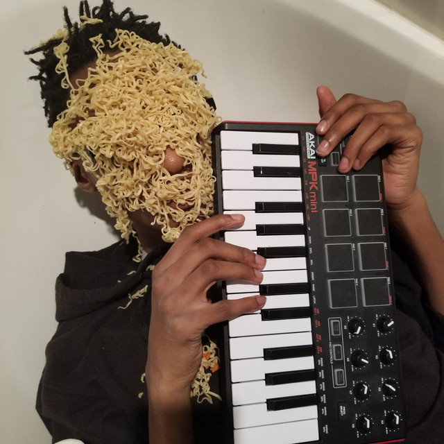 Please Do Not Listen to This Album cover art