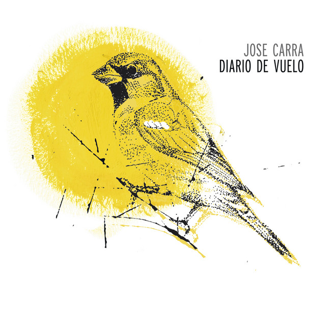 Diario de Vuelo cover