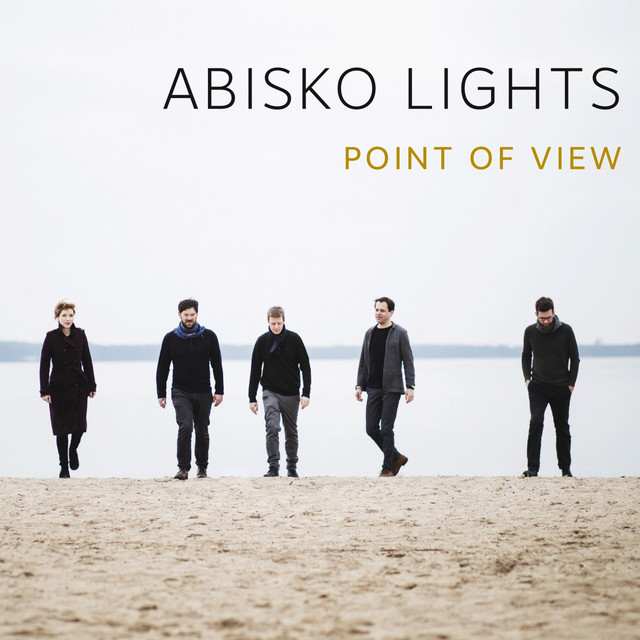 Abisko Lights Photo