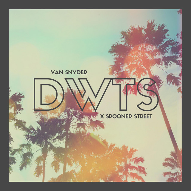 Обкладинка: DWTS — Van Snyder