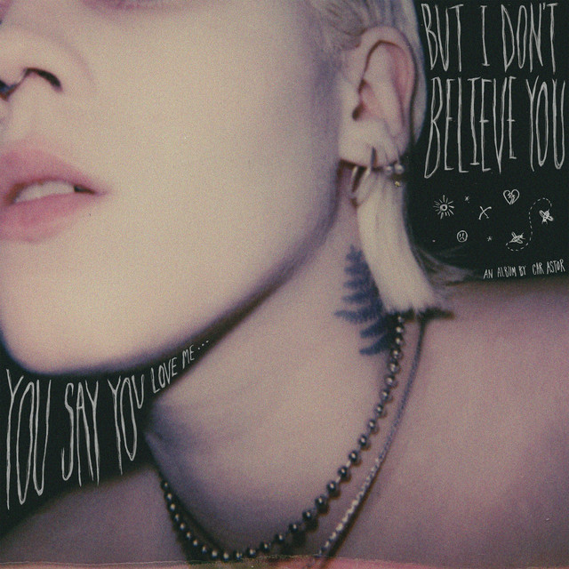 you say you love me... but i don't believe you cover art
