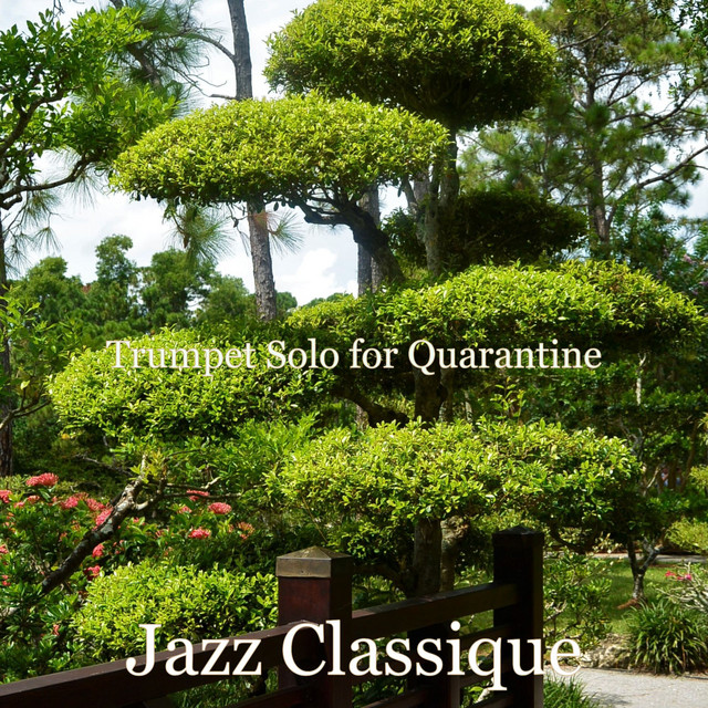 Trumpet Solo for Quarantine cover art
