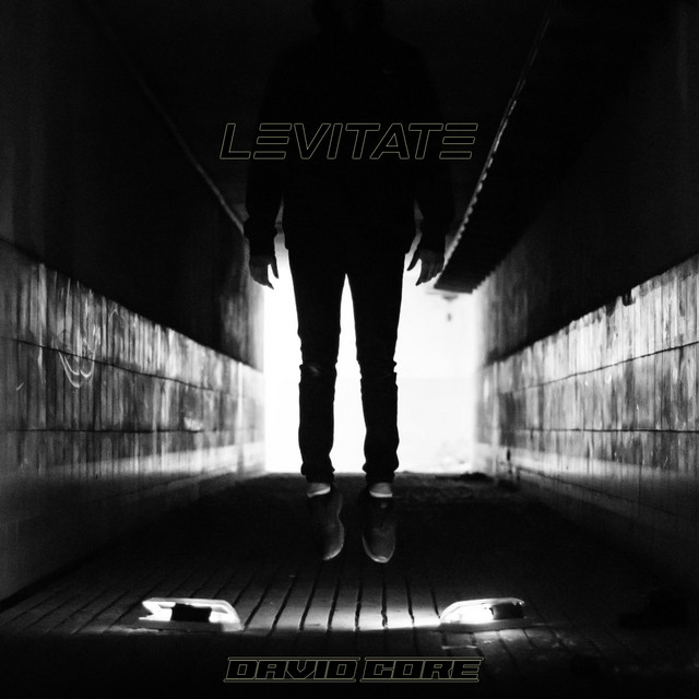 Levitate cover art