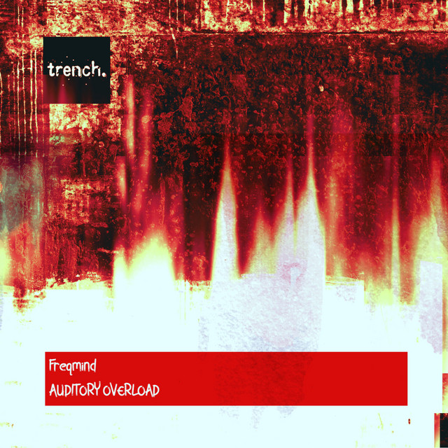 AUDITORY OVERLOAD cover art