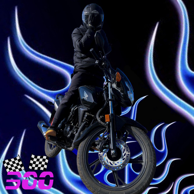 300 cover art
