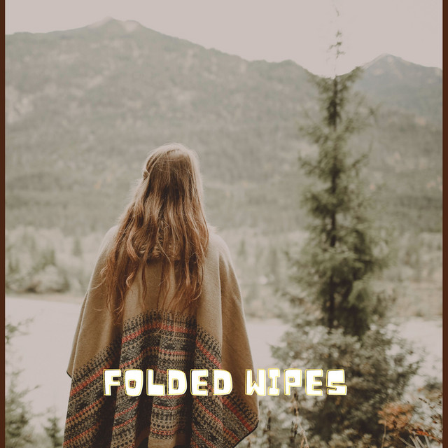 Folded Wipes cover art
