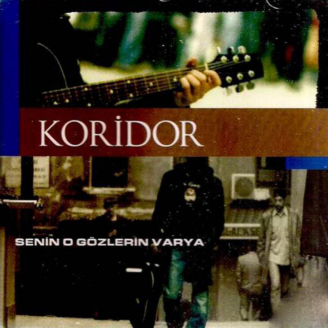 Senin O Gözlerin Varya cover art