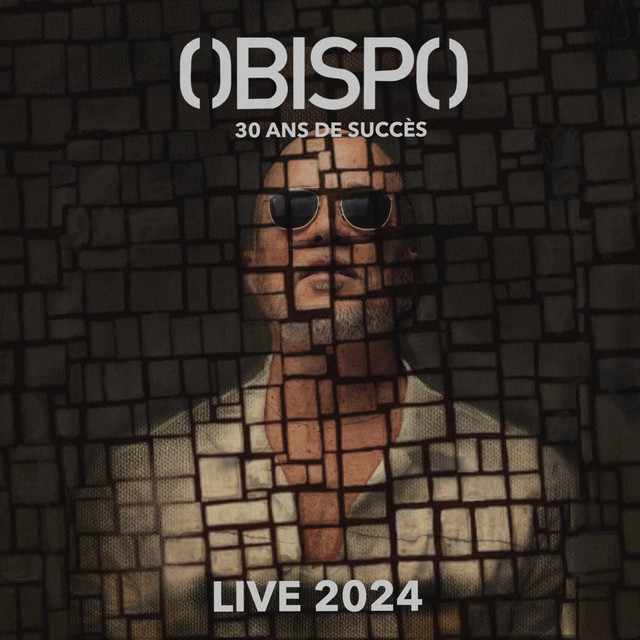 30 ans de succès (Live / 2024) cover art