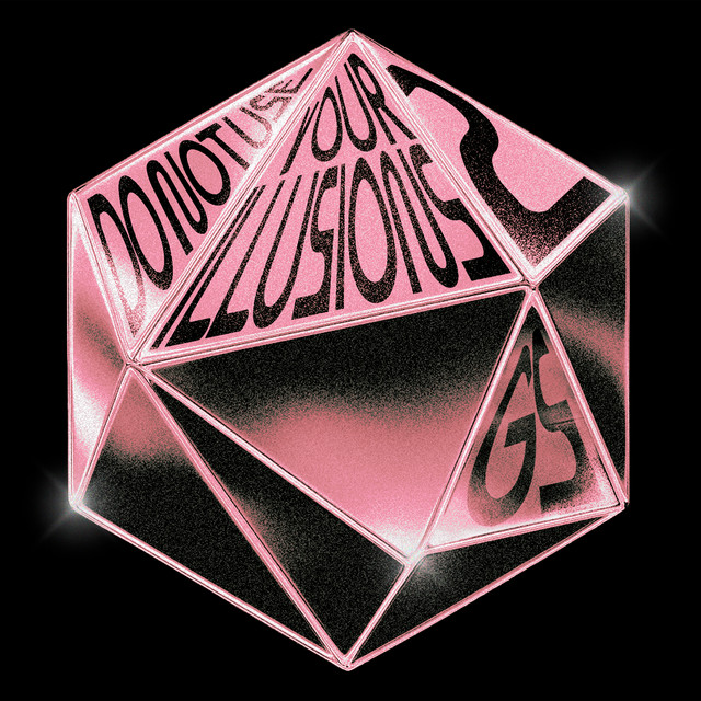 Do Not Use Your Illusions 2 cover