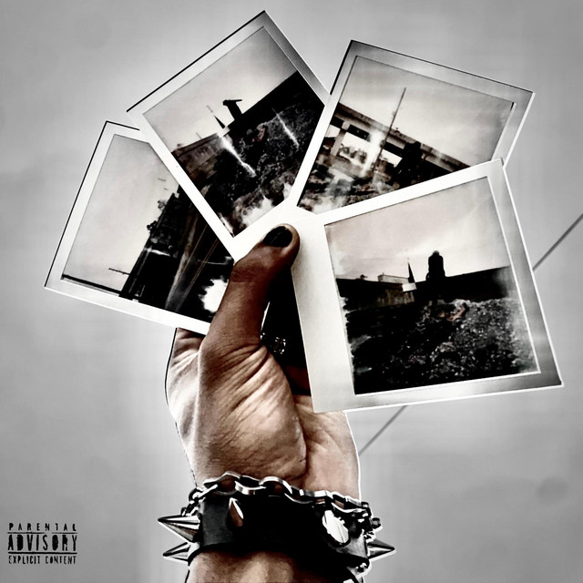 cooler cover art