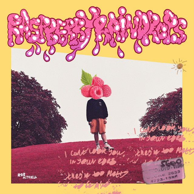 Raspberry Raindrops cover art