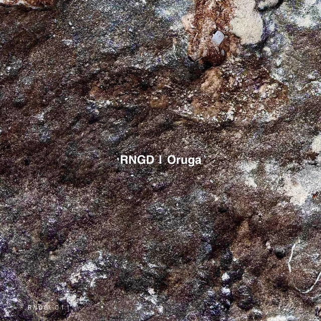 Oruga 1.1 cover art