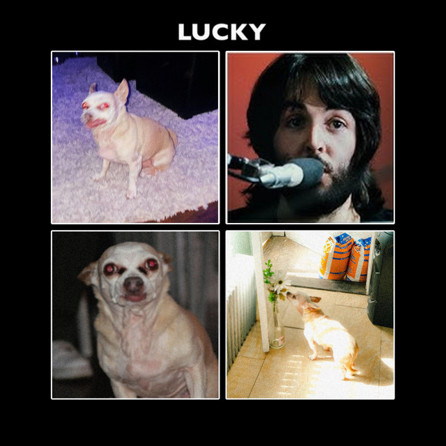 Lucky
