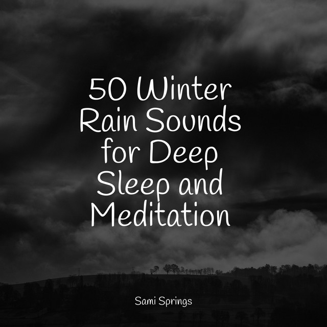50 Winter Rain Sounds for Deep Sleep and Meditation - Album by Academia ...