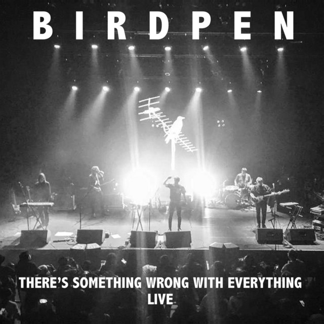 There's Something Wrong With Everything Live cover art