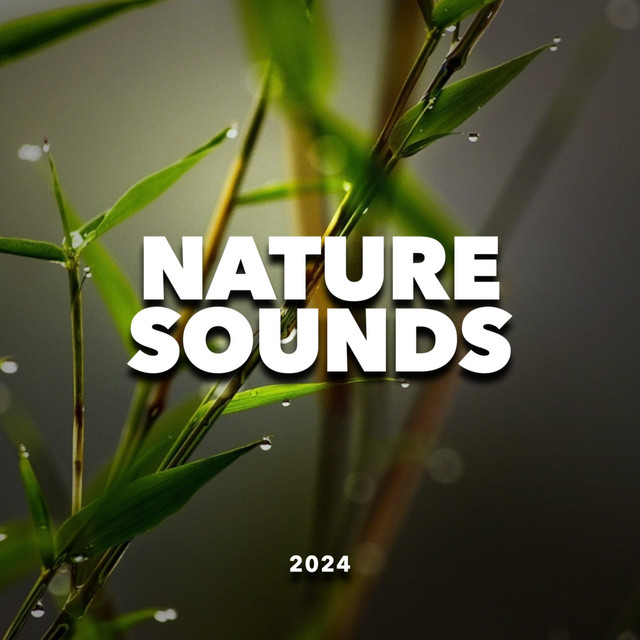 Nature Sounds 2024 cover art