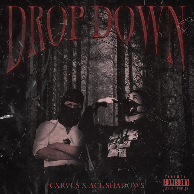 DROP DOWN