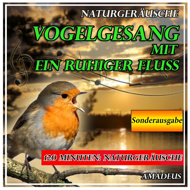 Vogelgesang mit ein ruhiger Fluss: Naturgeräusche: Sonderausgabe cover art