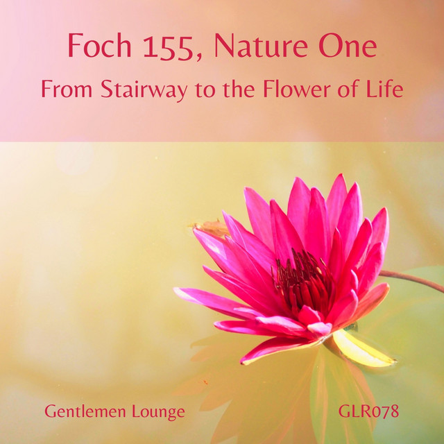 From Stairway to the Flower of Life cover art