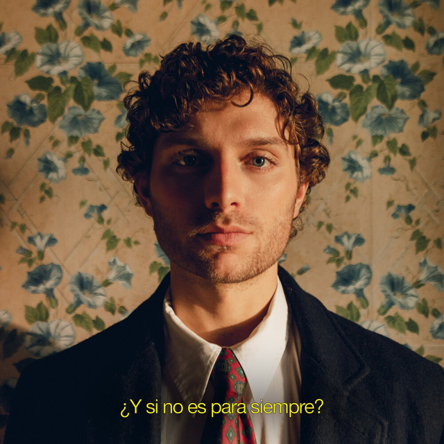 ¿Y si no es para siempre? cover art