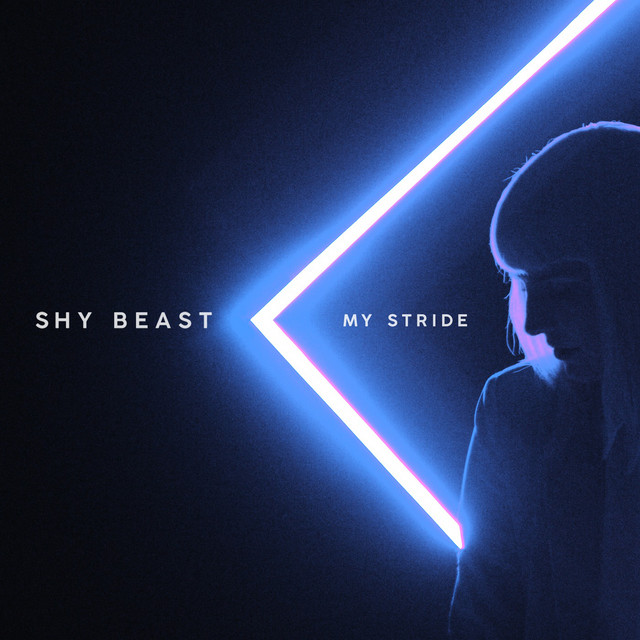 My Stride cover