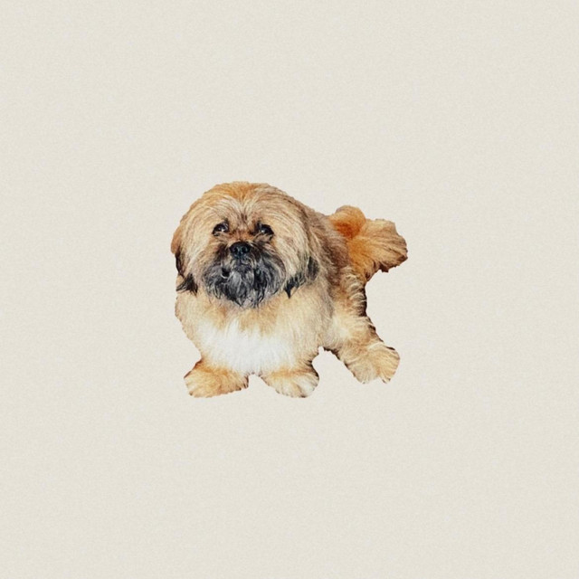 Crumbs cover art