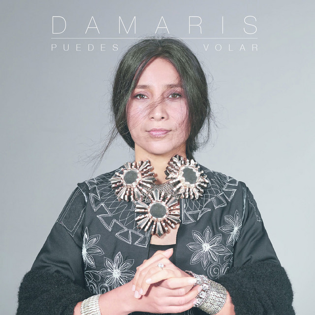 Puedes Volar cover art