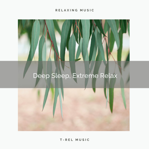 1 Deep Sleep, Extreme Relax - Album by Soothing Nature Sounds | Spotify