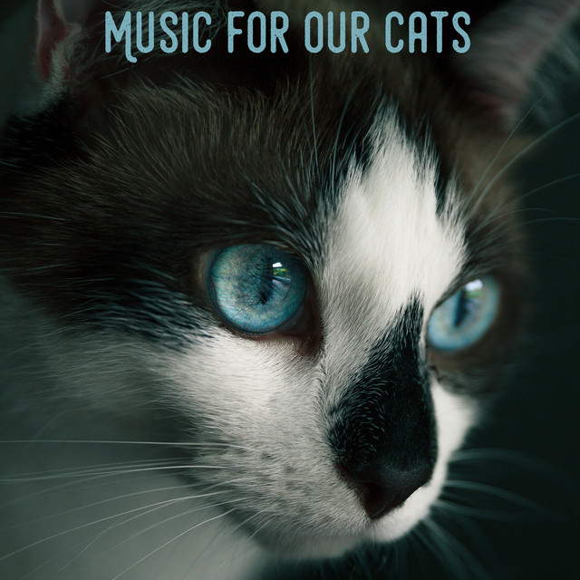 Music for Our Cats cover art