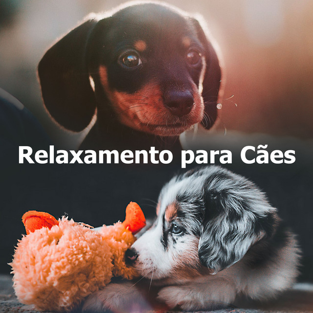 Relaxamento para Cães - Album by Música Relaxante para Cachorros | Spotify
