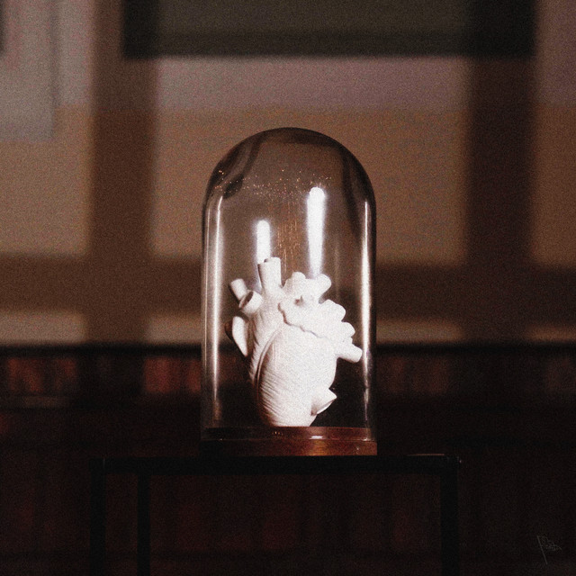 A Beginner's Guide to Fading Out cover art