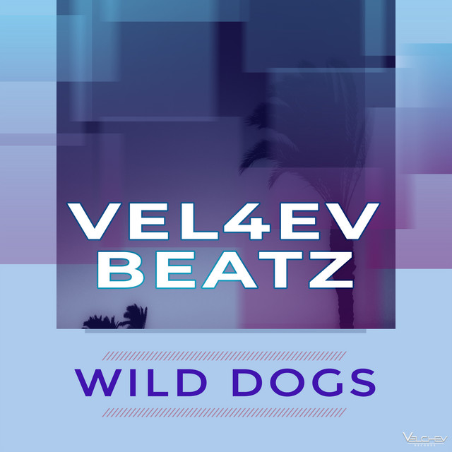 Wild Dogs - Single by Vel4ev Beatz | Spotify