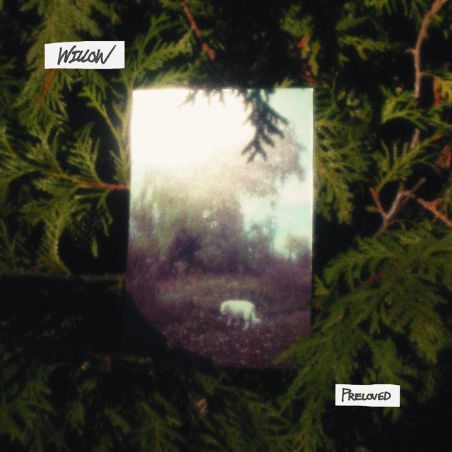 Willow cover art