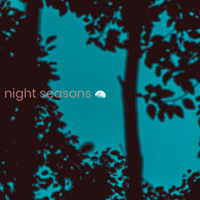 night seasons cover art