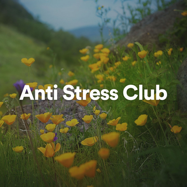 Anti Stress Club